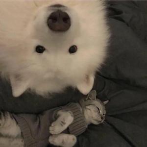 [FREE] Lil durk Type Beat “HP”