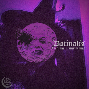 Attritus Lucerna (Zelly Vocals)