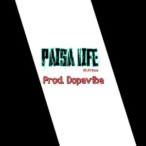 Paisa Life