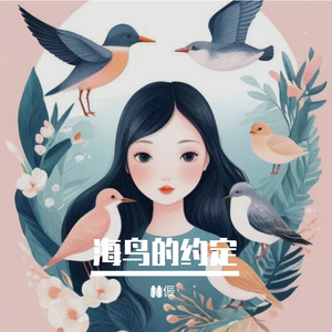 海鸟的约定