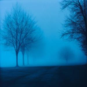 cold elysia
