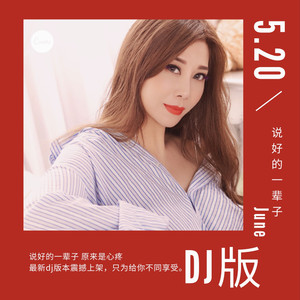 说好的一辈子 (DJ Remix)