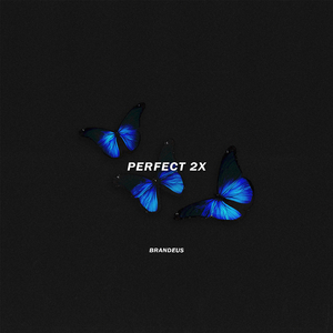 Perfect 2x