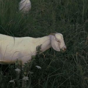 相遇在六点十八分