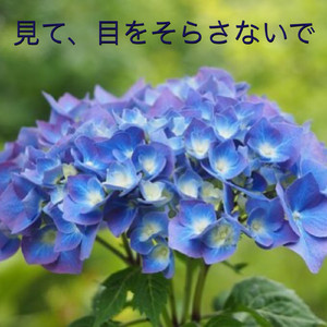 見て、目をそらさないで