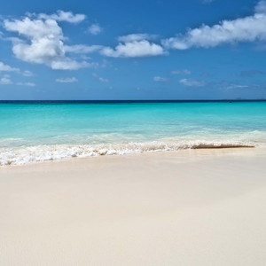 宿命一响，纯爱登场