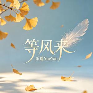 等风来
