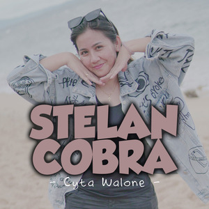 Stelan Cobra