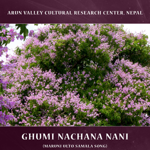 Ghumi Nachana Nani (Maruni Ulto Samala Song)