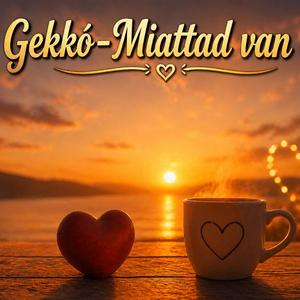 Miattad van
