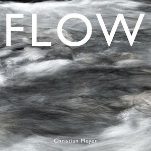 Flow N° 02