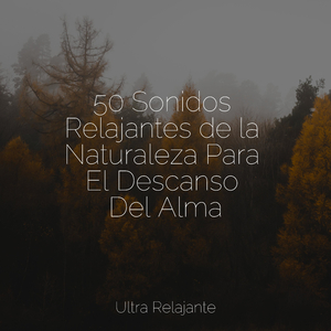 Bendición De La Luna