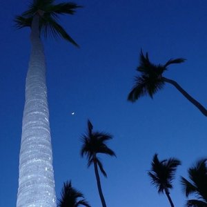 Darkside（3D 环绕版）（Salao remix）