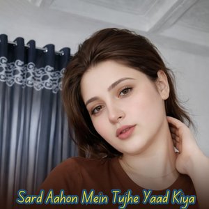 Sard Aahon Mein Tujhe Yaad Kiya