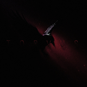 Torvus (Speed Up)