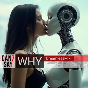 Why (DreamlessMix)