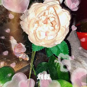 白菹草（Prod by 牙刷）