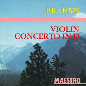 "Sleeping Beauty," Act 3: Pas de caractère. Cinderella & Prince Fortuné