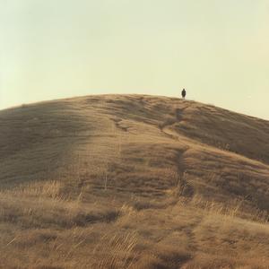 Wandering