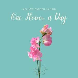 One Flower a Day