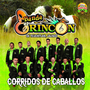 El Caballo Mojino (Instrumental)