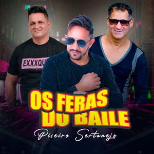 Rolezinho
