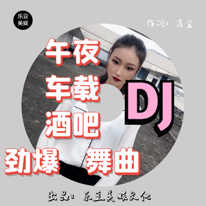 晚风作酒（酒吧热门dj音乐嗨歌）