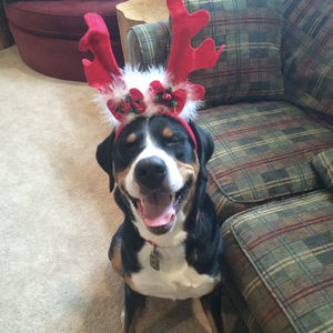 What Makes a Good Life?