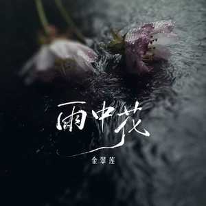 雨中花