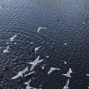 Hoaprox-Ngau Hung（Ljxn23 remix）