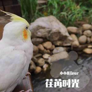 荏苒时光 Instrumental