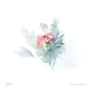 Tus Palabras