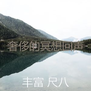 抚慰的回春回忆