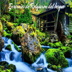 Musica para Ser Uno Mismo y Rejalarse