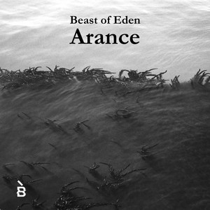 Arance (A. Collodel)