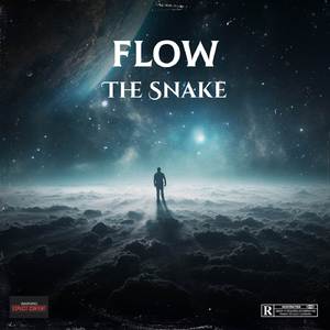 Flow