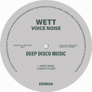 Voice Noise (Original Mix)