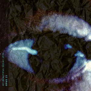 Opus 21