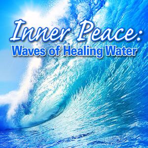 Quick Moving Forest Brook for Relaxation and Restful Sleep