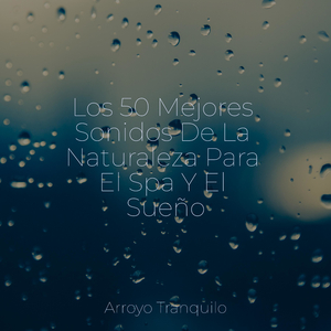 Serenidad Junto Al Fuego