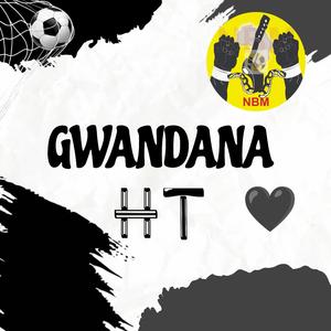 NBM JOLLY GWANDANA HT