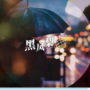 黑凤梨（翻自 nanase）