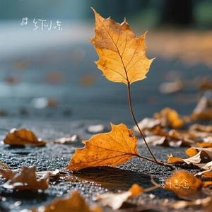 落叶思念
