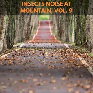 Night Relief Oceanic Motion