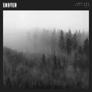 Distant Words (The Exitation)