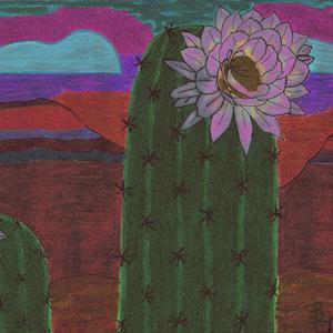 Cactus Flower