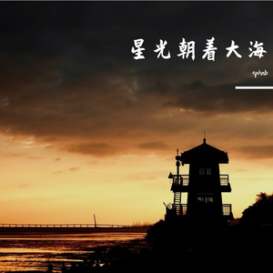 星光朝着大海