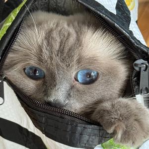 I"m super shy, super shy.