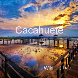 Cacahuete