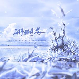 珊瑚海--兄妹倾情演绎版（翻自 群星）